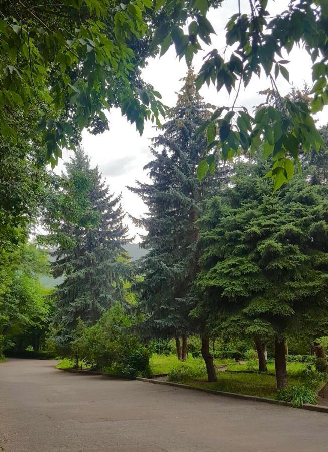 Vanadzor Armenia Health Resort&Hotel Zewnętrze zdjęcie